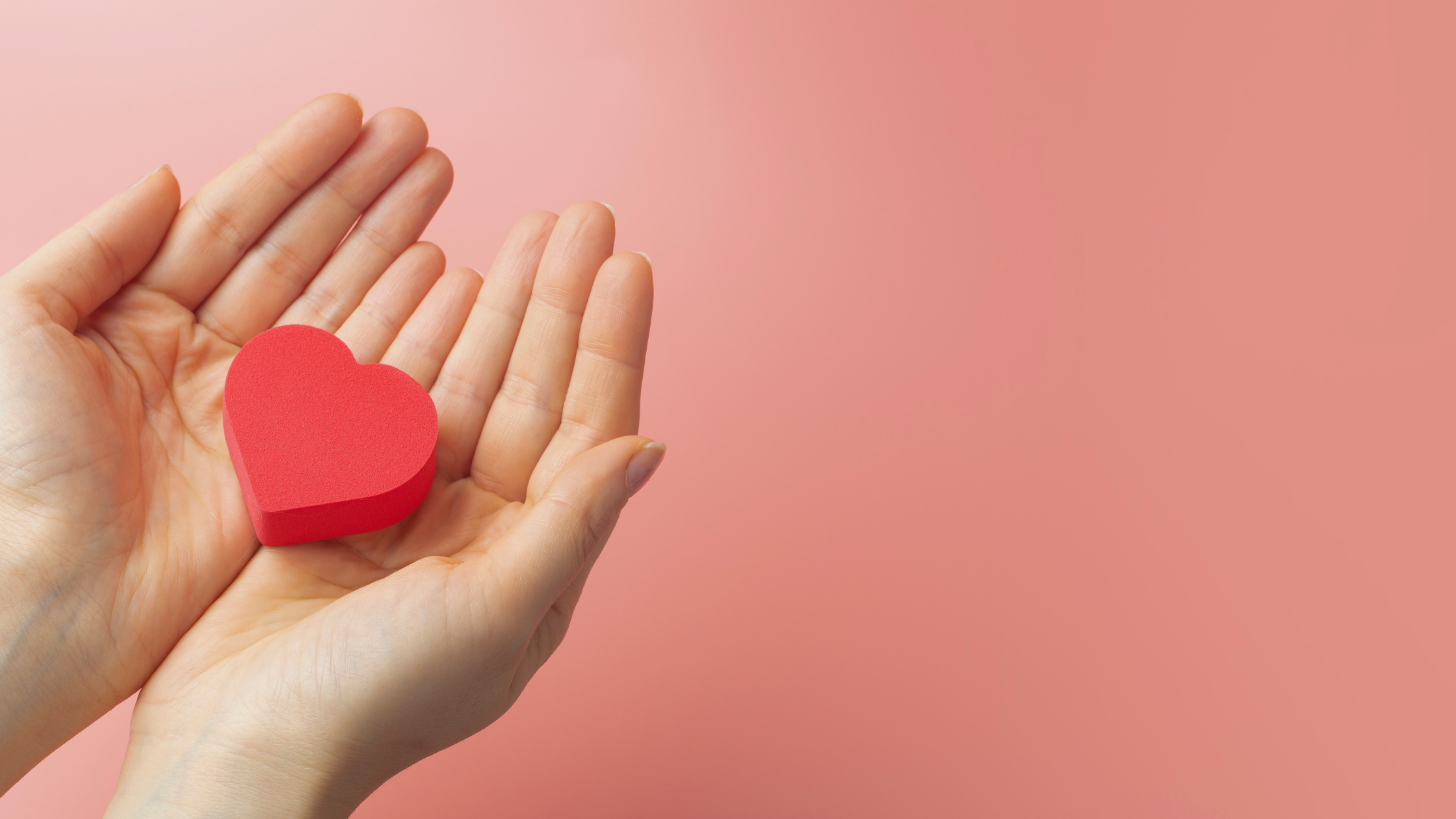 The Best Fundraising Ideas for 2024