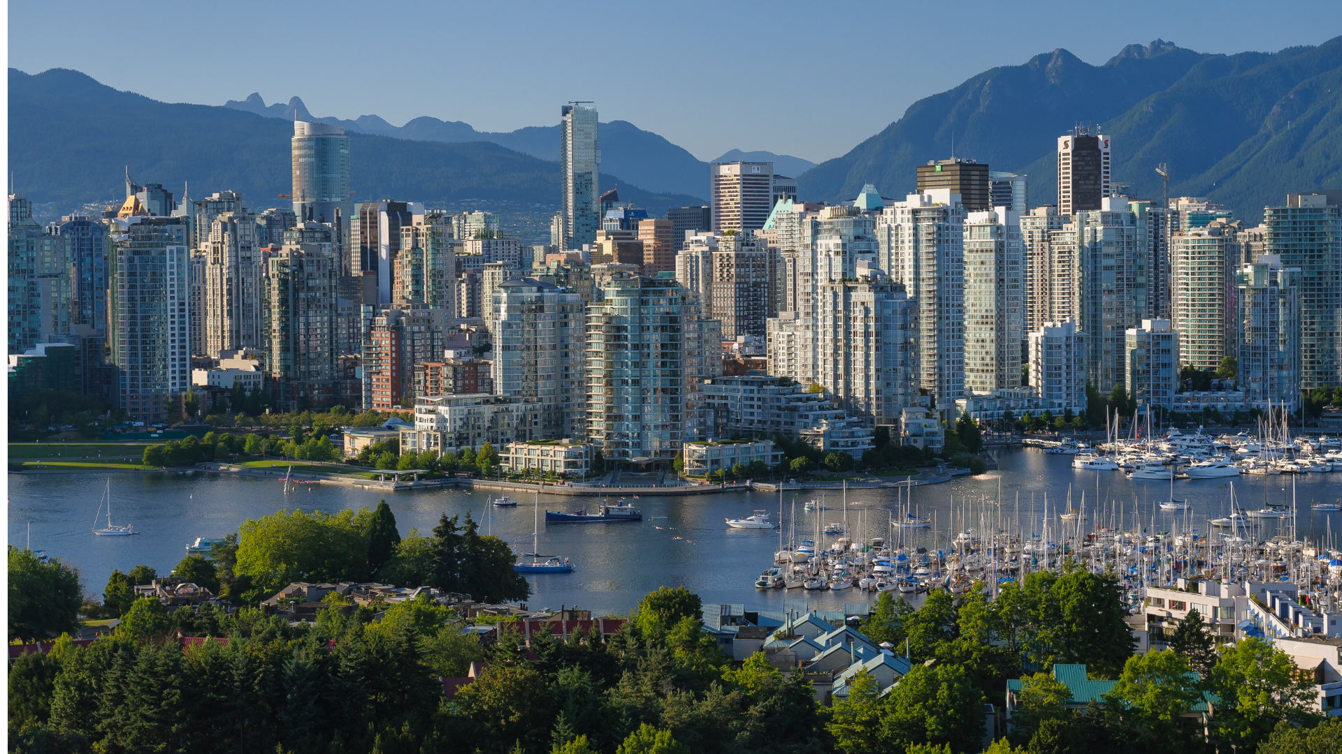 We Just got Featured on "The Best Vancouver"