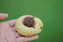 Vancouver Best Cookies - Cookie Master Sampler - 12 Cookies + 1 - Cookiemaster Box