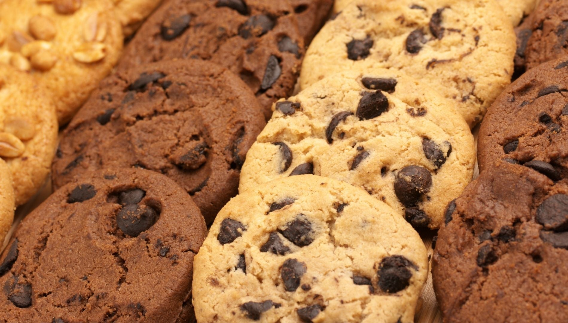 Vancouver Best Cookies - Vegan Cookie Master Sampler - Vegan Cookie